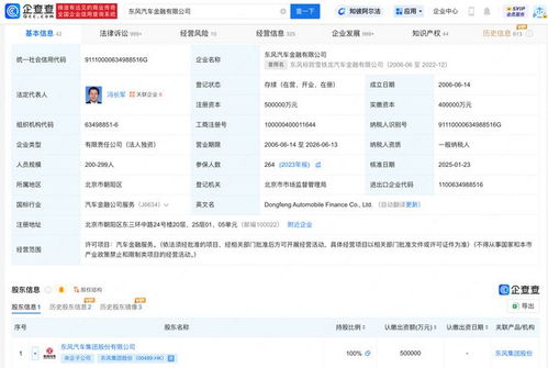 汽车用户资产有多少