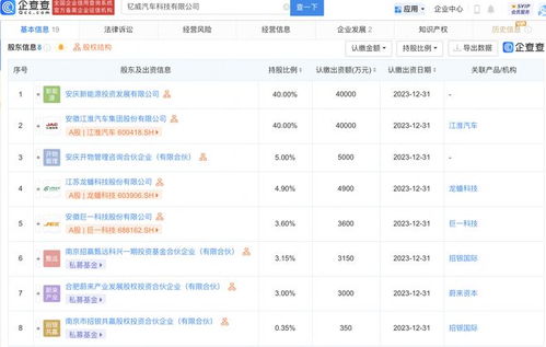 汽车用户资产有多少